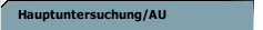 Hauptuntersuchung/AU