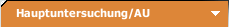 Hauptuntersuchung/AU